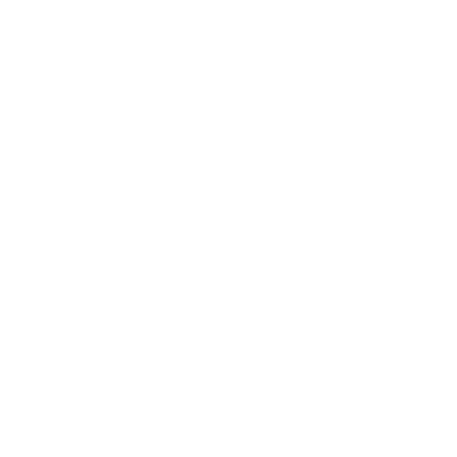 Alyssa Howard Enterprises